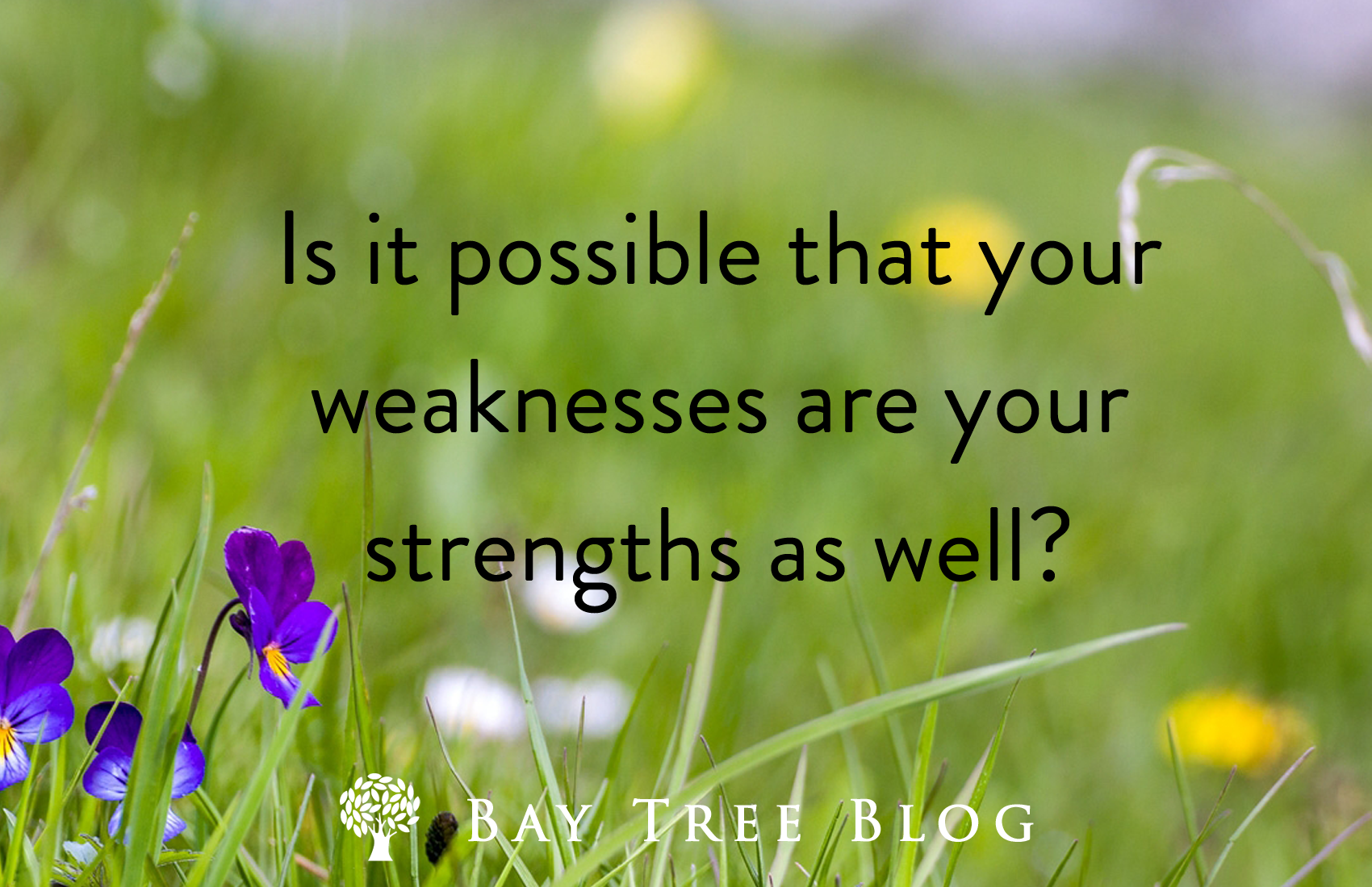 Is it possible that your weaknesses are your strengths as well? BayTreeBlog.com
