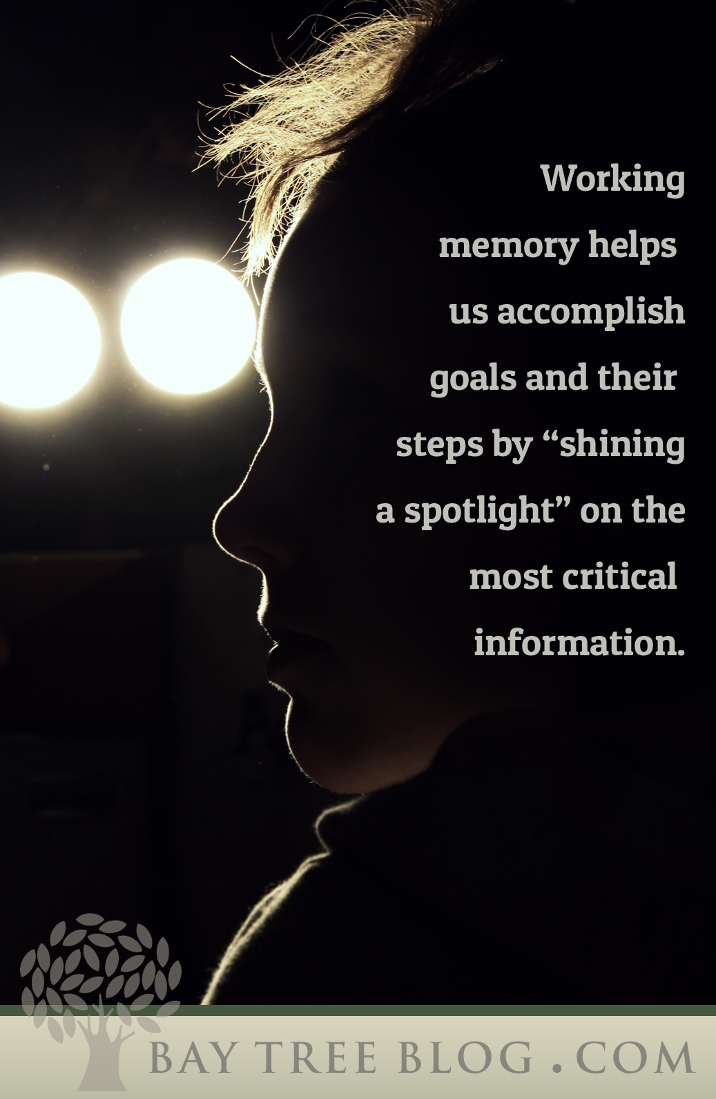 Working memory helps us accomplish goals and their steps by "shining a spotlight" on the most critical information. (BayTreeBlog.com)